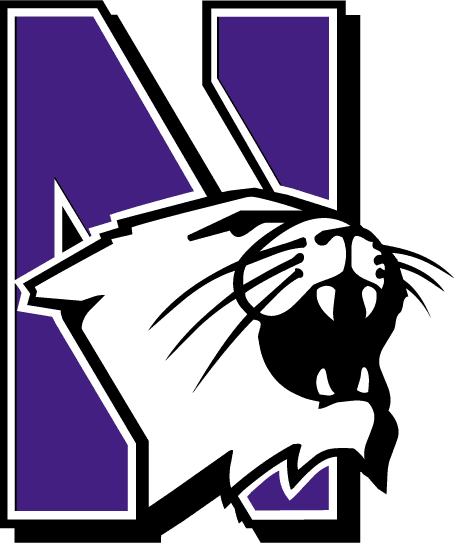 Northwestern Wildcats 1981-Pres Primary Logo iron on transfers for T-shirts